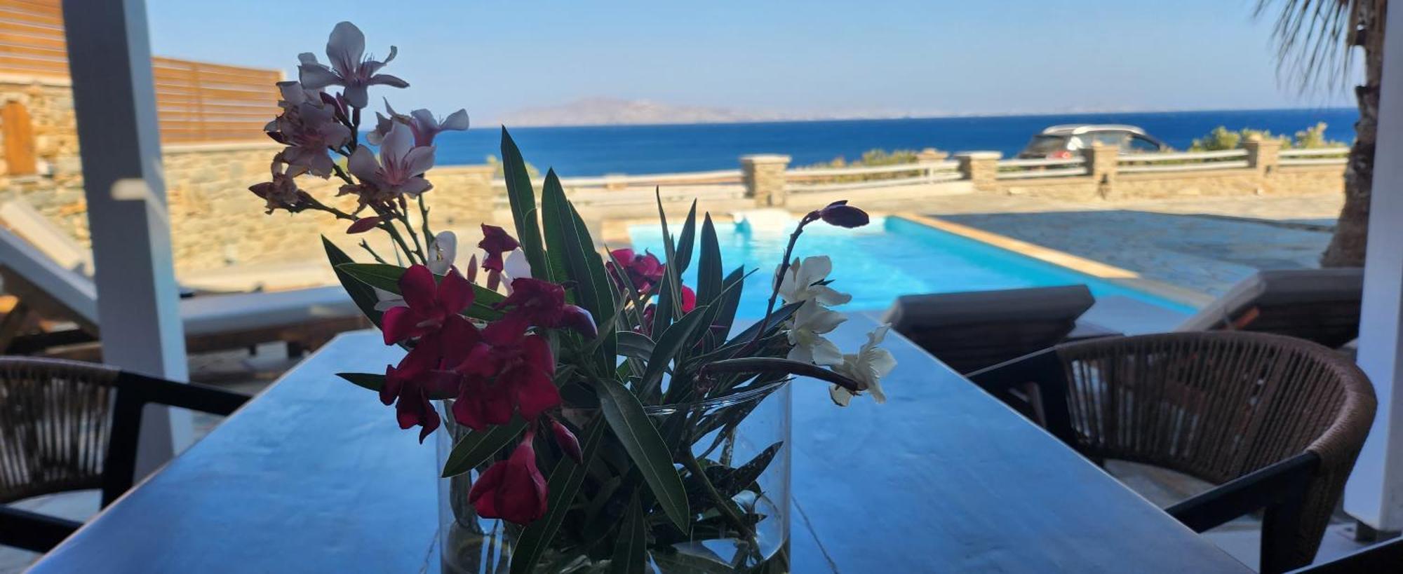 Santamare Villa Tínos Dış mekan fotoğraf